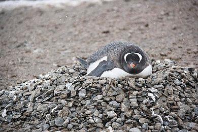 单人冒险游戏《Winter》现于Steam平台发售 支持中文